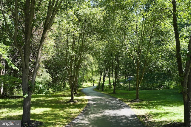 15410 River Rd, Darnestown, MD 20874 - view of property's community with a lawn, a view of trees, and driveway