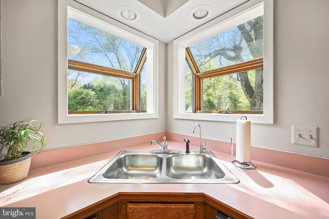details with light countertops and a sink