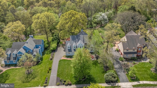 bird's eye view with a view of trees