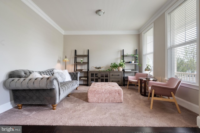 living area with crown molding and baseboards