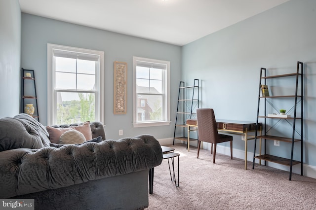 interior space with baseboards and carpet flooring