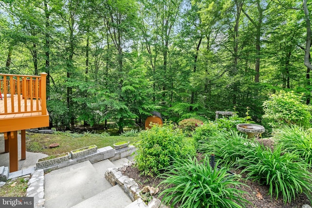 5420 Well Spring Rd, La Plata, MD 20646 - view of yard featuring a wooden deck