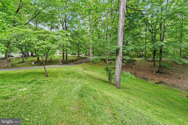5420 Well Spring Rd, La Plata, MD 20646 - view of grassy yard