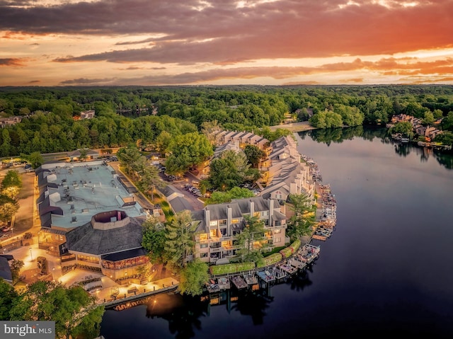 aerial overview of property's location featuring a forest and a large body of water