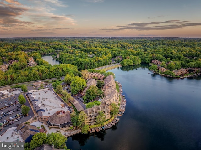 aerial view at dusk of a view of trees and a water view