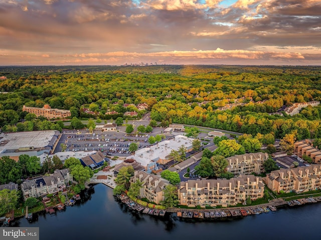 aerial view at dusk of a view of trees and a water view