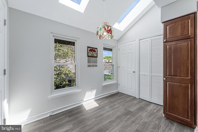interior space with a skylight, lofted ceiling, wood finished floors, and healthy amount of natural light