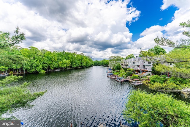 water view with a floating dock