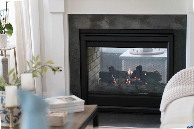 room details with a glass covered fireplace