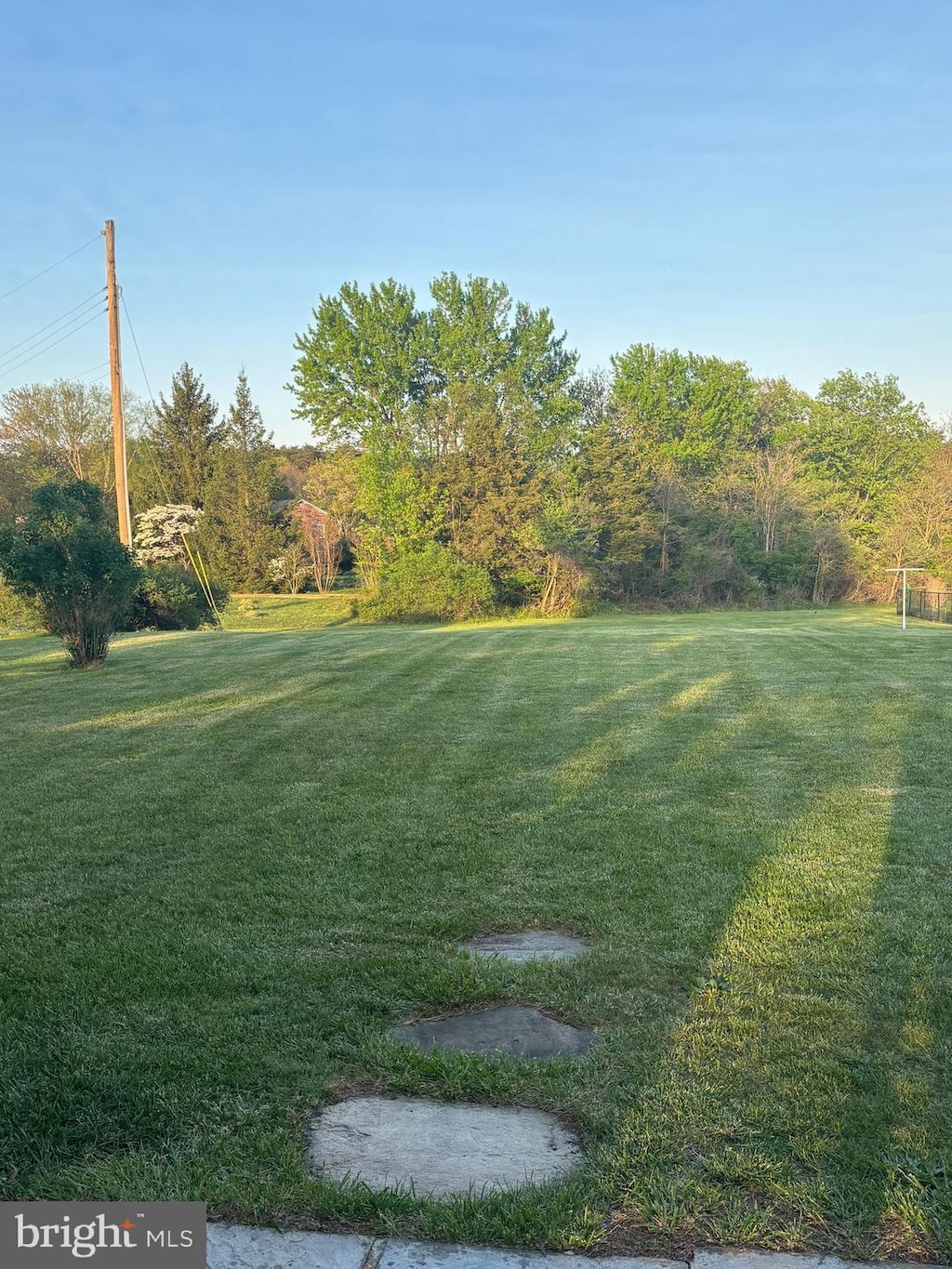 1085 Greenwood Rd, Winchester, VA 22602 - view of grassy yard
