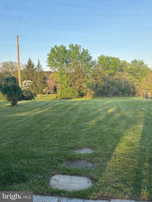 1085 Greenwood Rd, Winchester, VA 22602 - view of grassy yard