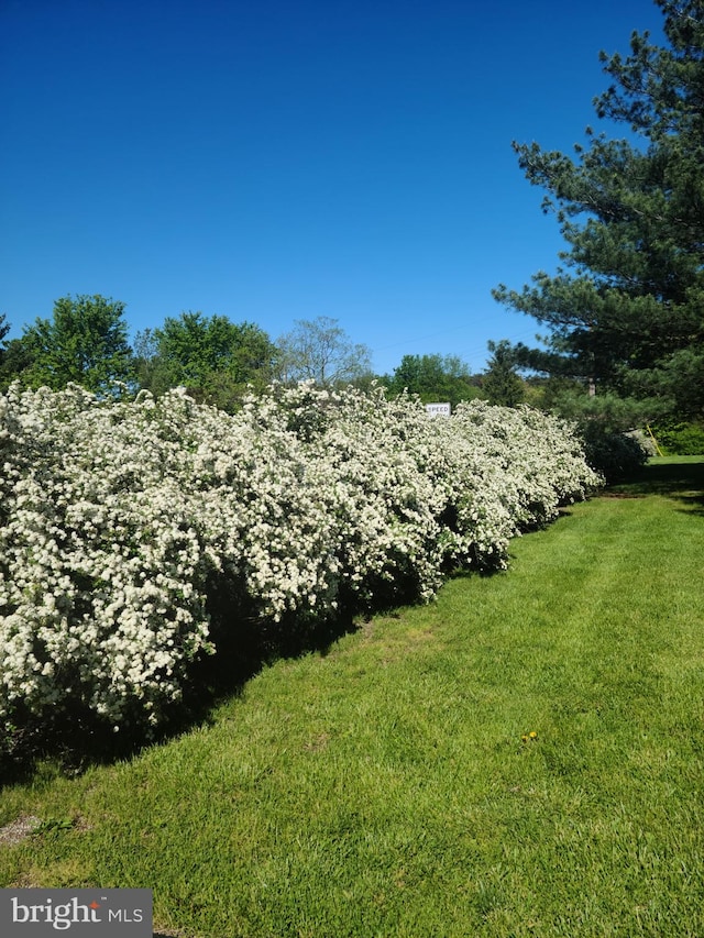 1085 Greenwood Rd, Winchester, VA 22602 - view of grassy yard