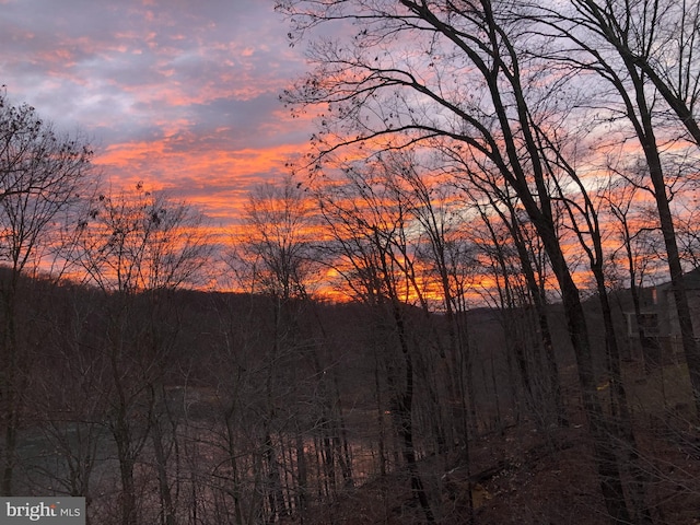 6725 Accipiter Dr, New Market, MD 21774 - exterior space featuring a forest view