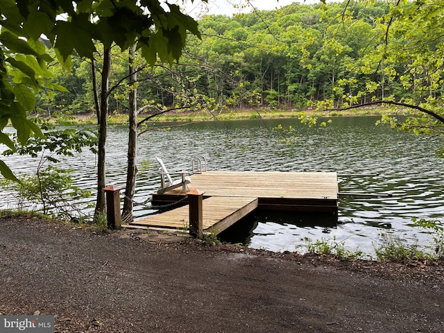 6725 Accipiter Dr, New Market, MD 21774 - view of dock with a water view and a forest view