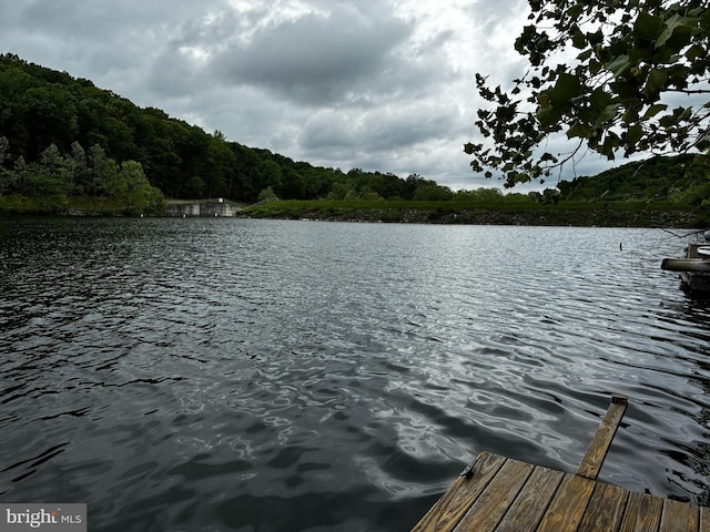 6725 Accipiter Dr, New Market, MD 21774 - dock area featuring a wooded view and a water view