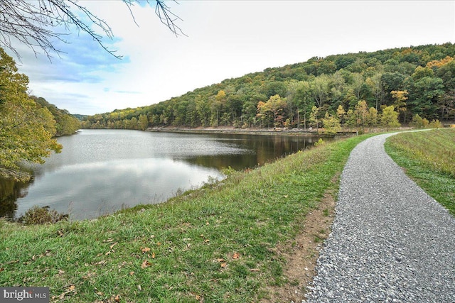 6725 Accipiter Dr, New Market, MD 21774 - water view with a wooded view