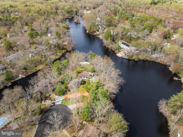 drone / aerial view featuring a view of trees and a water view