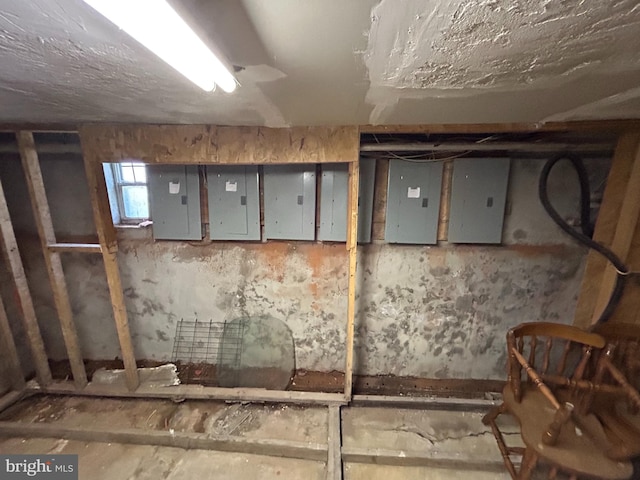 basement featuring electric panel