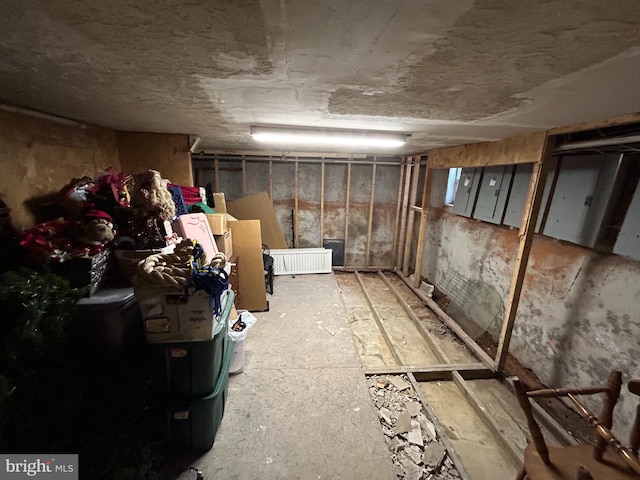 view of unfinished below grade area