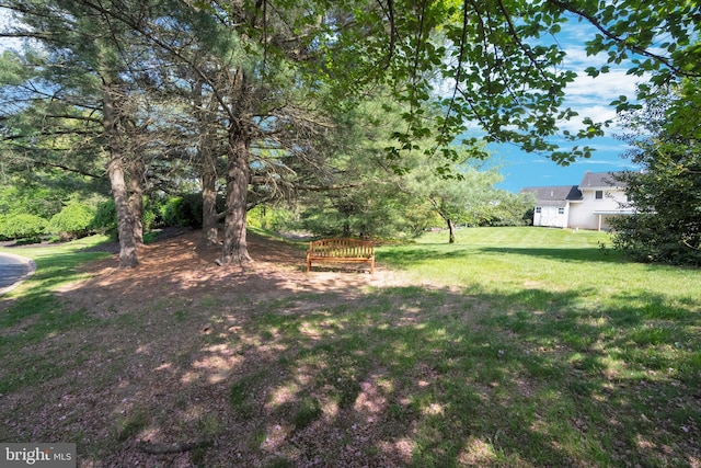 view of green lawn