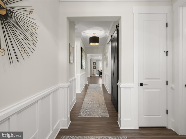 corridor featuring a barn door, wainscoting, dark wood-type flooring, and a decorative wall