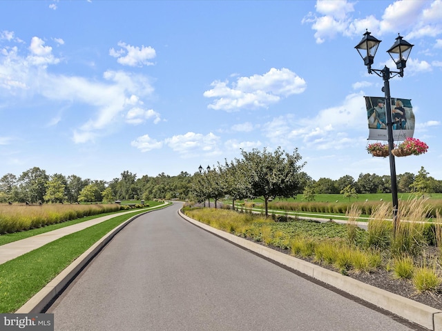 view of road with street lighting and curbs