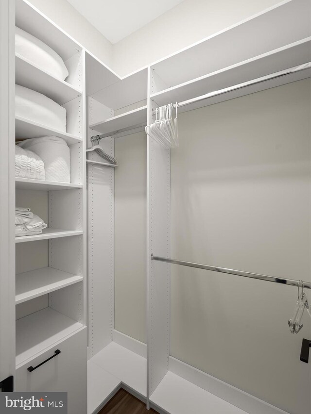 view of walk in closet