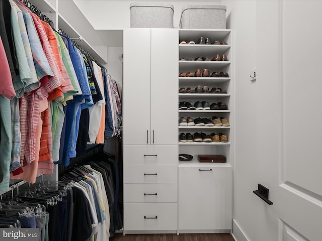 view of walk in closet
