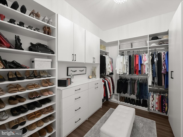 walk in closet with dark wood finished floors