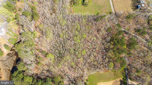 17 Pine Reach Dr, Kilmarnock, VA 22482