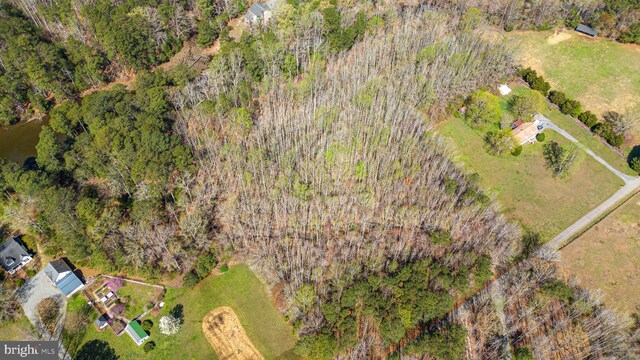 17 Pine Reach Dr, Kilmarnock, VA 22482