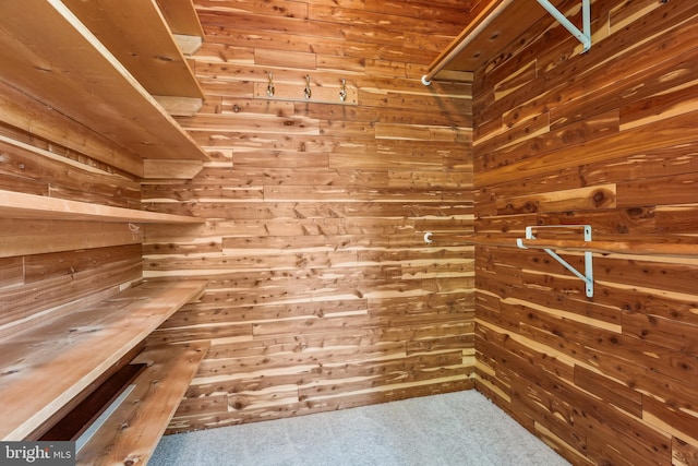 spacious closet with carpet