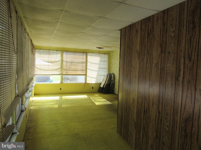 unfurnished room featuring carpet flooring and a paneled ceiling