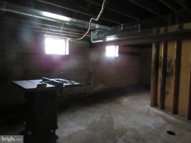 basement featuring a wealth of natural light