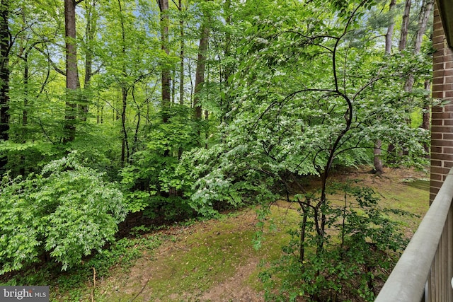 view of local wilderness