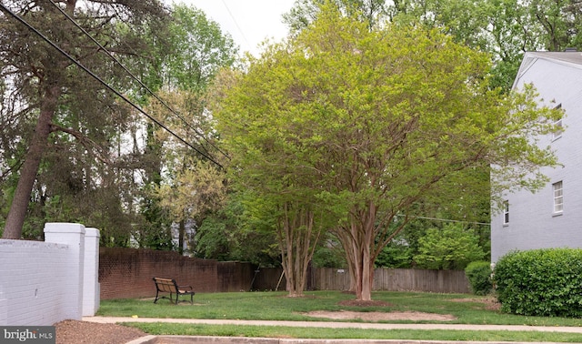 view of yard featuring fence