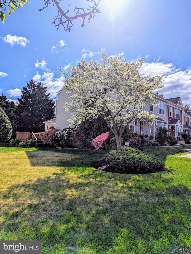 view of yard featuring a residential view