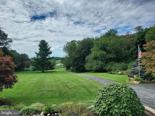 view of community featuring a lawn