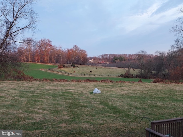 view of yard featuring a rural view
