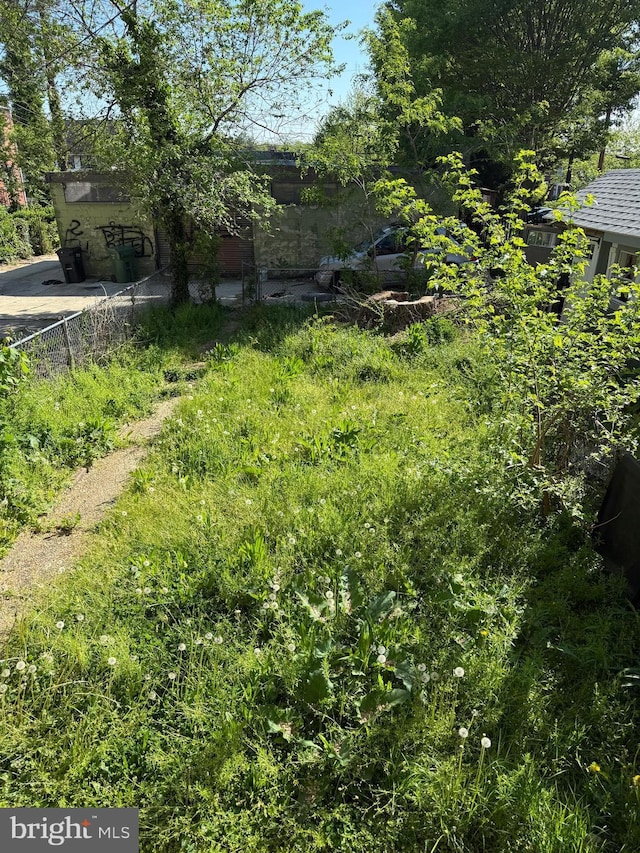 4333 Pimlico Rd, Baltimore, MD 21215 - view of yard