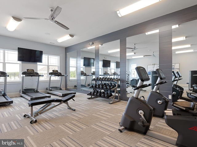 gym with ceiling fan, a healthy amount of sunlight, and light carpet