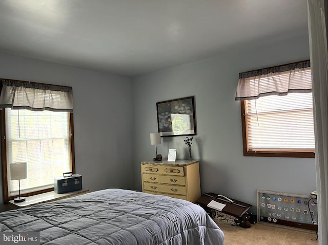 bedroom featuring carpet and multiple windows