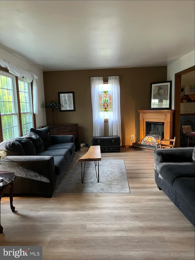 living room featuring light wood-style floors and a glass covered fireplace