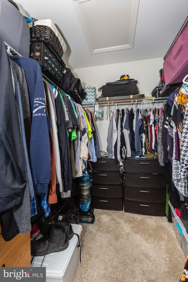 3560 Sherwin Dr, Manchester, MD 21102 - spacious closet with attic access and carpet flooring