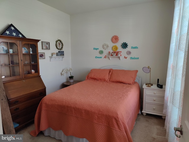 117 E Clarendon Dr, Smyrna, DE 19977 - view of carpeted bedroom