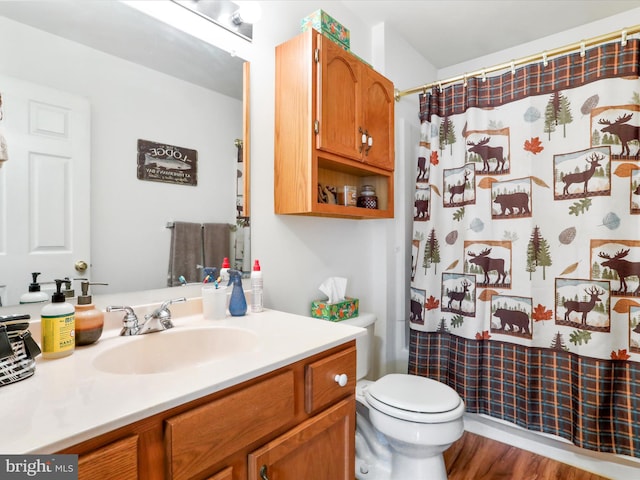 29 Blueberry Ln, Keyser, WV 26726 - bathroom with vanity, toilet, a shower with curtain, and wood finished floors