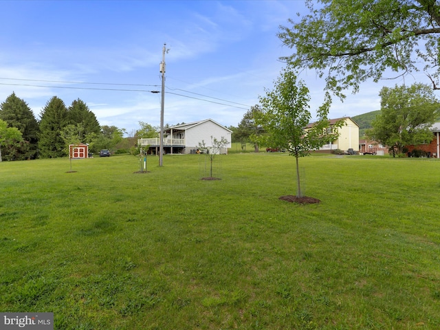 29 Blueberry Ln, Keyser, WV 26726 - view of yard