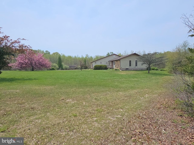 view of yard