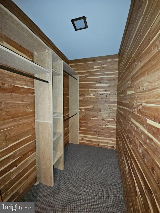 walk in closet with carpet flooring