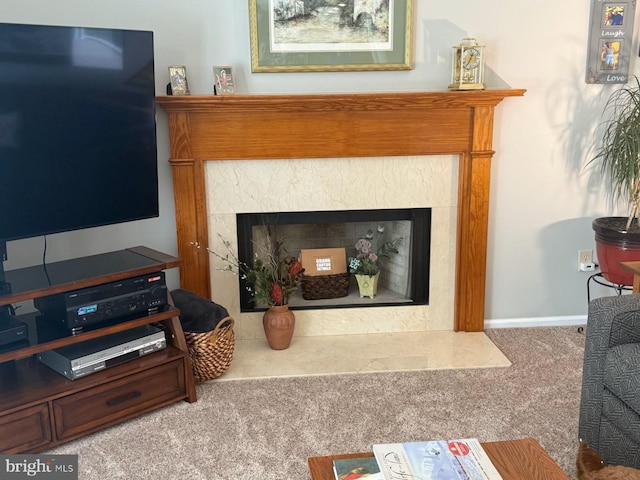 details featuring a premium fireplace, baseboards, and carpet floors